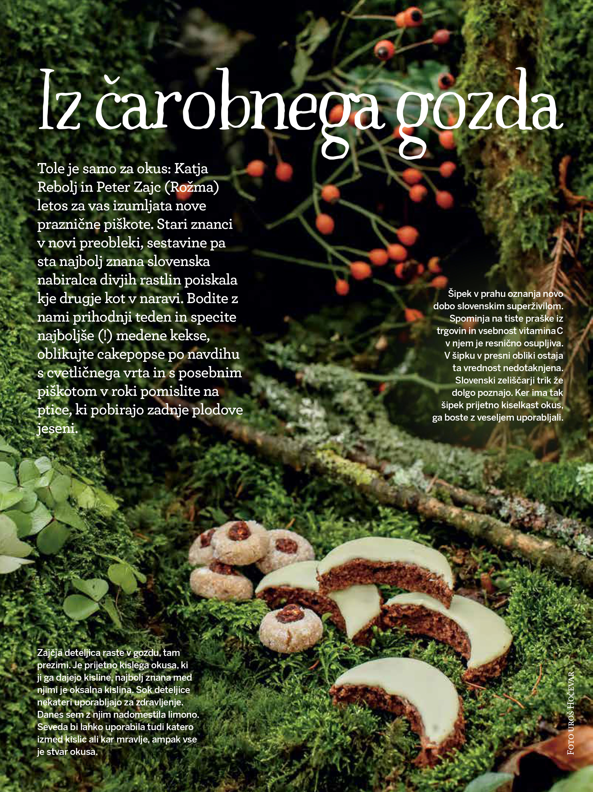 Rumovi polmeseci z zajčjo deteljico